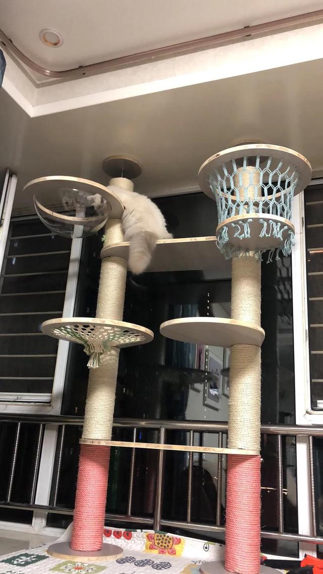 自己做一个猫爬架