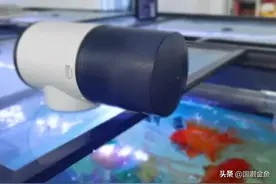 只管放心吃！照顾的事儿交给金鱼管家图片