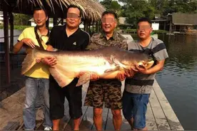 湄公河野生鱼虾泛滥，一条鲶鱼超过200斤，堪比东北的查干湖图片
