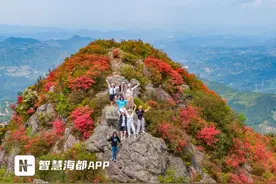 刷屏朋友圈！福州这处悬崖花海，上了央视“大美中国”图片