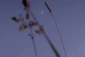 壁纸｜等待良人归来那一刻图片