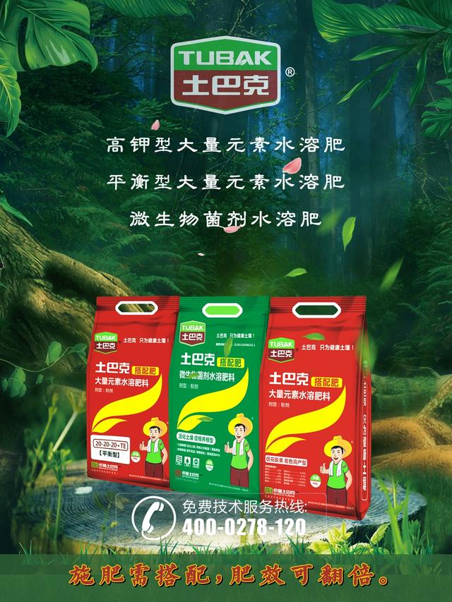 姘ㄥ熀閰稿師娑?娴撶缉姘ㄥ熀閰告恫浣撹偉 娑蹭綋钀ュ吇鑲? onerror=