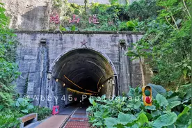 厦门有一条铁路通往和平码头，废弃后变身公园，绿树成荫避暑胜地图片