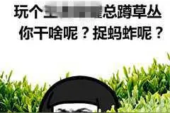 论蹲草的法律后果图片