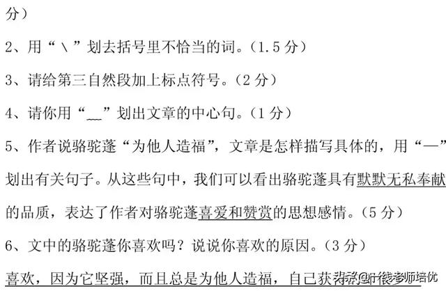 知识点+同步练习题 部编版四年级语文上册 10 爬山虎的脚