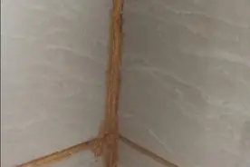 做美缝清包与全包有什么区别？如何选择一款美缝剂？要注意什么？图片