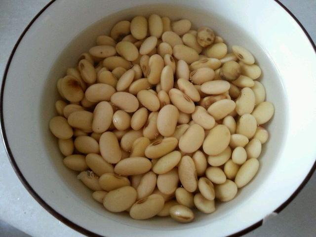 “黄豆”人人都有，煮熟埋盆里，养啥花都旺，3个月用不着施肥