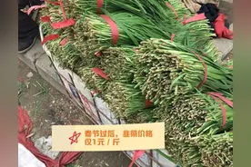 “青菜贩子，赚一半子”，从事蔬菜零售，利润有多大？图片