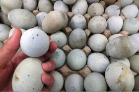 买皮蛋时，遇到这3种扭头就走，都是劣质皮蛋，别被忽悠了图片