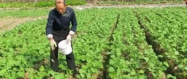 氨基酸是什么？有什么作用？听专家一讲，长知识了