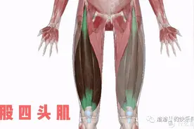 练腿真促睾，瘦的也更快，心脏肺部爱，还能防衰老图片