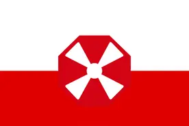 美国陆军各类标识（七）：第八集团军图片