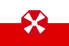 美国陆军各类标识（七）：第八集团军图片