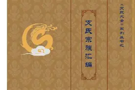 支氏/姓氏组织之论支氏宗亲会现状与对策图片