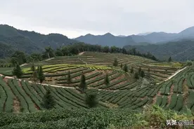 一份让人激动而又感慨的晚会节目单图片