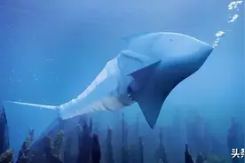 德国逆天仿生机械，超震撼图片