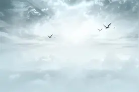 性格犹豫的人请记住这4条处事法则！图片