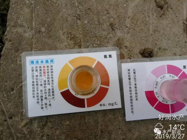 氨氮、亚硝酸盐超标将给虾蟹苗带来这些危害！虾蟹苗中毒怎么办？