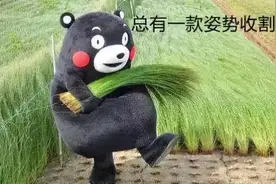 “炒股专家”教你炒股？警惕“荐股”骗局！图片