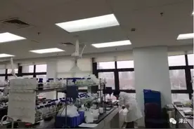 5年过去了，她的精气神一如5月的气象，满树繁花……图片