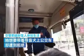 导盲犬上公交又被拒，交警扮盲人带导盲犬被赶，强烈呼吁立法保护图片