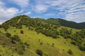 想去大自然看星空、看美景、吃烧烤？西安附近这5个露营地，让你的夏天不一样！图片