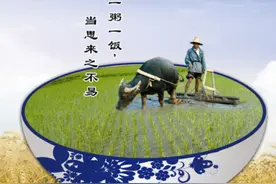 我国每年粮食浪费惊人，减少浪费，应从我们每一个人做起图片