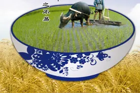 我国每年粮食浪费惊人，减少浪费，应从我们每一个人做起图片