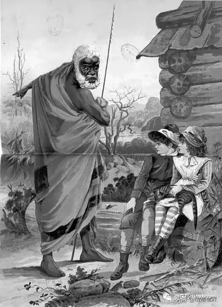 不可思议的神秘动物（四）