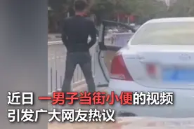 广西防城港：男子因堵车当街小便被罚图片