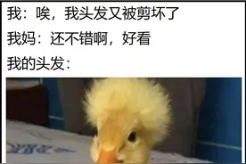 梗图合集：“妈，我头发被剪坏了”“还不错啊，好看”图片