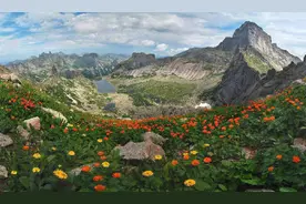 「美景如画」这简直是人间的天堂图片