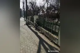 长春市这里全面完成林园公园“拆围透绿”工作实现“园街一体”的城市空间图片