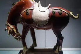 一将功成万骨枯图片
