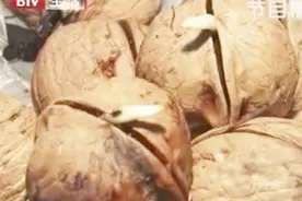 买回来的核桃发芽了，引来邻居都来看，核桃为什么发芽了呢？视频封面