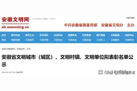 省里点名！宿州市灵璧县这些地方又上榜了！图片