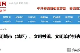 省里点名！宿州市灵璧县这些地方又上榜了！图片