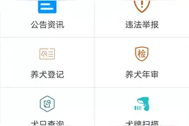 线上办理各种养犬事宜 辽源公安这个APP很实用图片