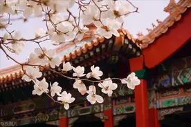 废太子胤礽的女儿，被雍正收养用来联姻蒙古贵族，却格外长寿图片