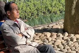 上海老人的派头能有多精致？这位89岁爷爷的独居生活，让网友羡慕到哭图片