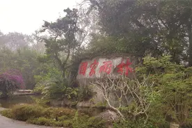 雨中谒访五指山图片