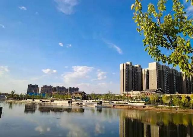 吲哚乙酸的合成与代谢