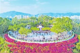 深圳红色印记丨莲花山公园图片