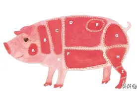 真正的高价猪肉，网上卖到100多元1斤，农村人嫌脏当垃圾深埋图片