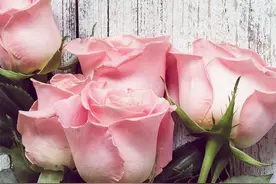 55岁男人晚景凄凉，只因年轻时的一场错爱，毁了自己的一生图片