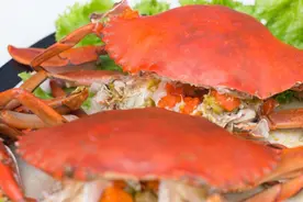 螃蟹：我熟了，也红了图片