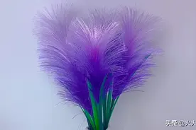 给丝带抽个丝，既解压又好看，瞬间变成仙美的芦苇草图片