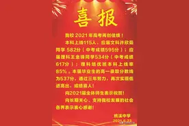 舒城桃溪中学高考喜报图片