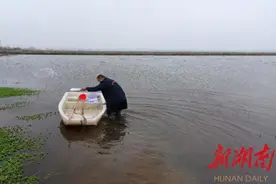 凤凰乡：严防疫情，不误生产图片