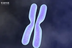 学术不再枯燥，这组科研动画惊艳我了图片
